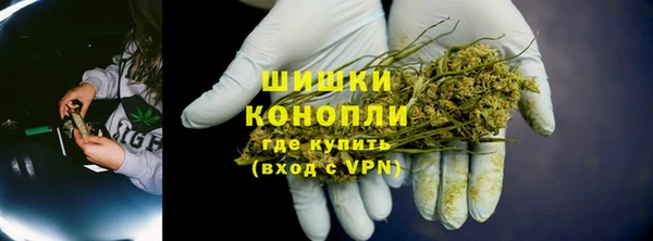 ПСИЛОЦИБИНОВЫЕ ГРИБЫ Алзамай