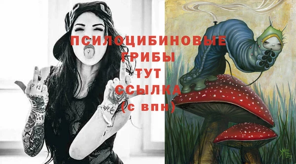 ПСИЛОЦИБИНОВЫЕ ГРИБЫ Алзамай
