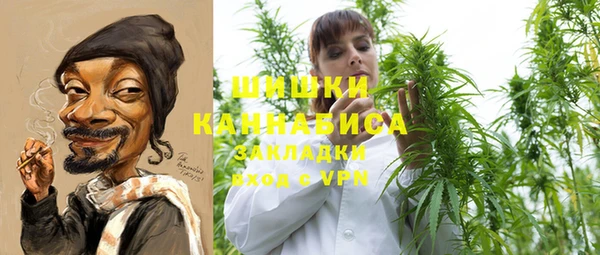 ПСИЛОЦИБИНОВЫЕ ГРИБЫ Алзамай