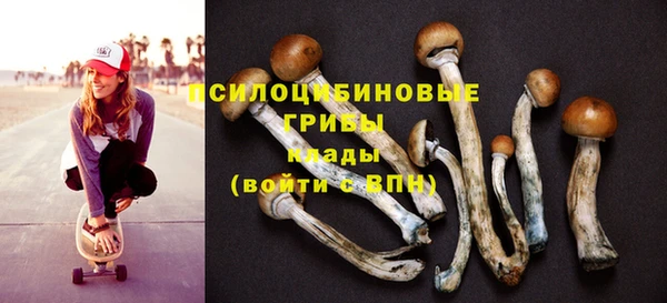 мет Алексин